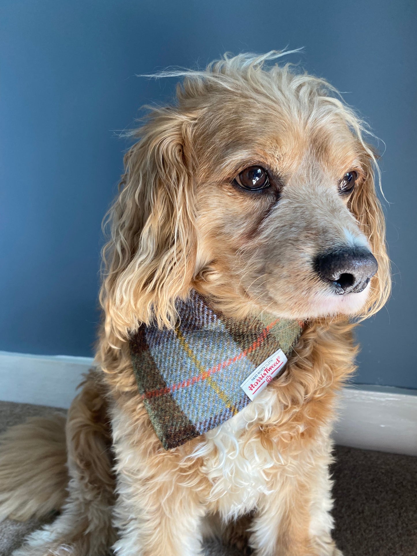 Harris Tweed dog bandana neckerchief in McLeod tartan green, blue & brown check tartan or plaid pattern. Sizes S, M, L + XL pet scarf